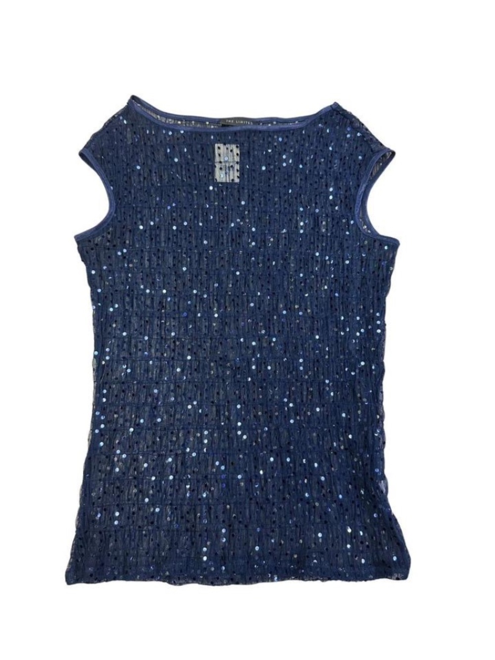The Limited Blue Sequin Mesh Top